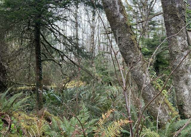 Property at ID 55401 Greenleaf Rd, Arch Cape, OR 97102