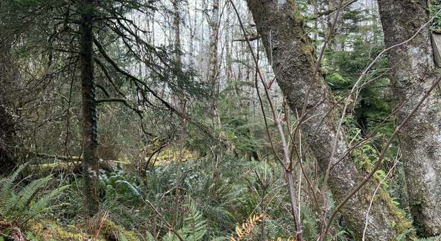 Photo of ID 55401 Greenleaf Rd, Arch Cape, OR 97102