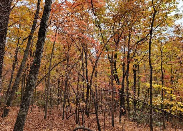Property at 00 Old Fire Tower Ln, Penhook, VA 24137