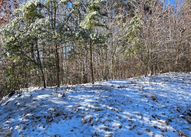 Property at Lot 37 Martinsville Hwy, Axton, VA 24054