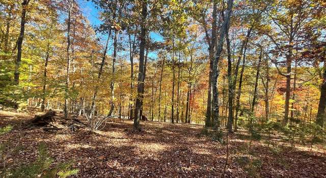 Photo of 0 Siahs Glenn, Pittsville, VA 24139