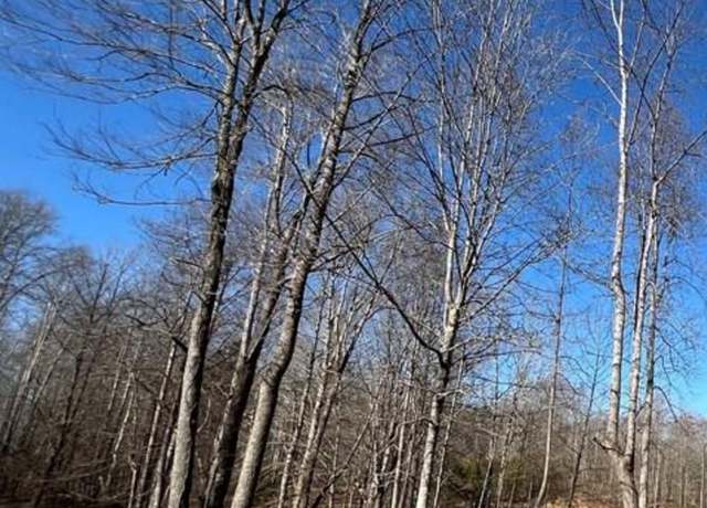 Property at 1050 Fiddler's Green Rd, Patrick Springs, VA 24133