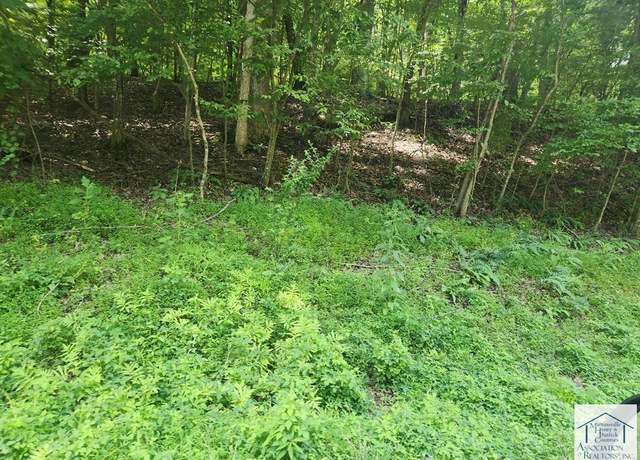 Property at 0 Carver Rd, Collinsville, VA 24078