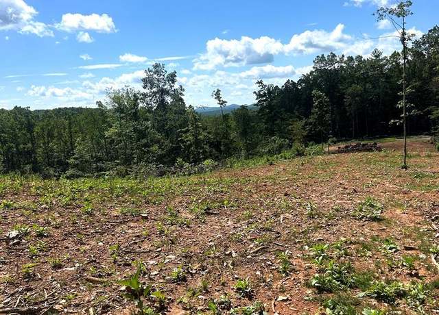 Property at 000 Woods Gap Rd, Woolwine, VA 24085