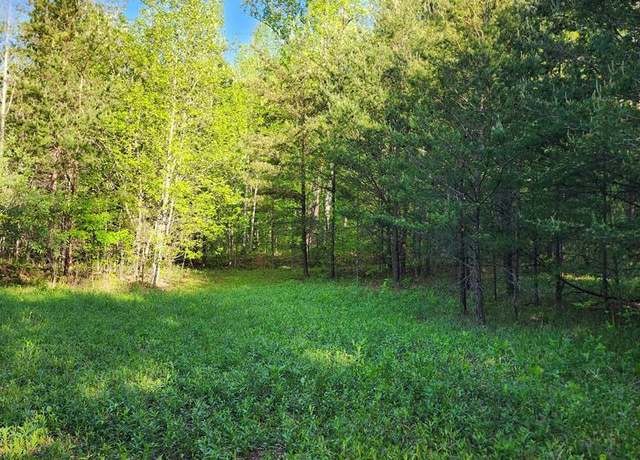 Property at 00 Woolwine Hwy, Woolwine, VA 24185