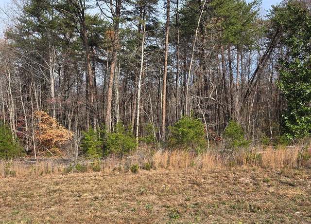 Property at 0 Stones Dairy Rd, Bassett, VA 24055