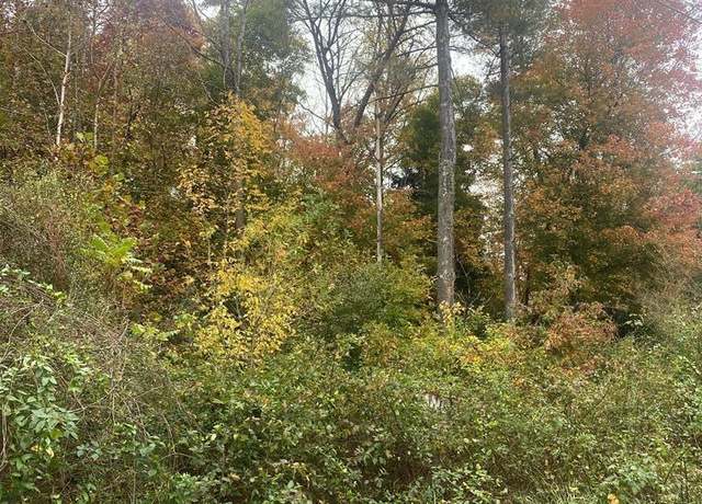 Property at 0 Virginia Ave, Bassett, VA 24055