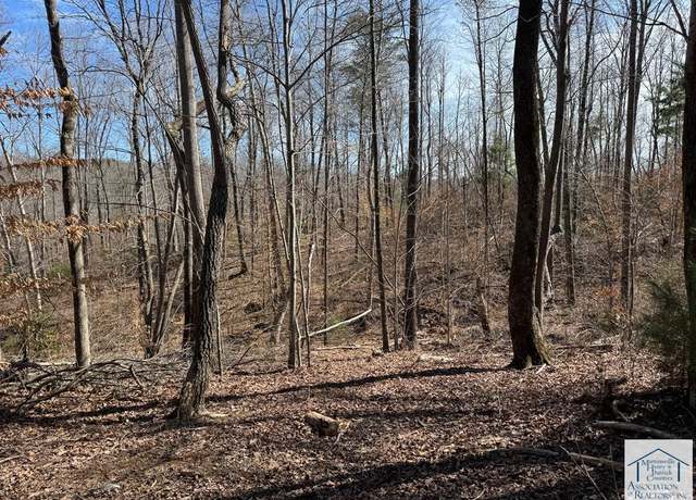 Property at 00 Abram Penn Hwy, Patrick Springs, VA 24133