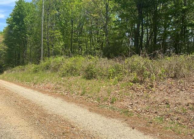 Property at Lot 12 Timber Run Dr, Woolwine, VA 24185