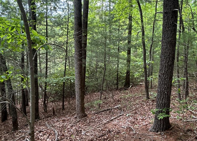 Property at 00 Hatchers Chapel Rd, Claudville, VA 24076
