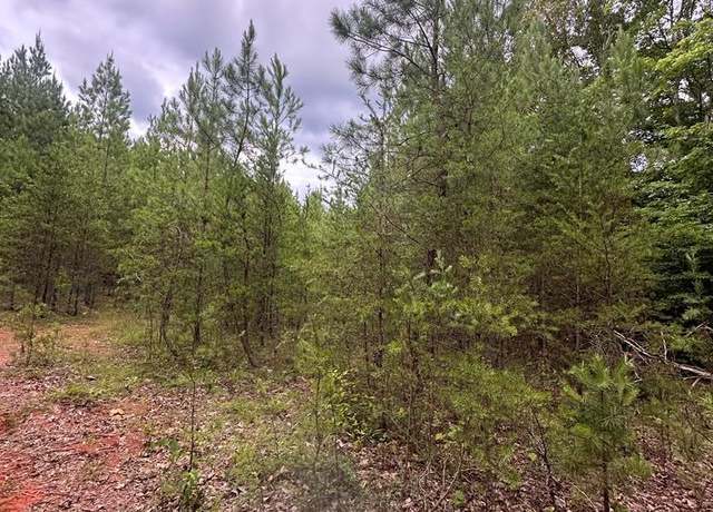Property at 0 George Taylor Rd, Spencer, VA 24165