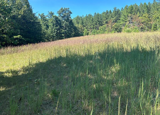 Property at 00 Scenic Dr, Stuart, VA 24171