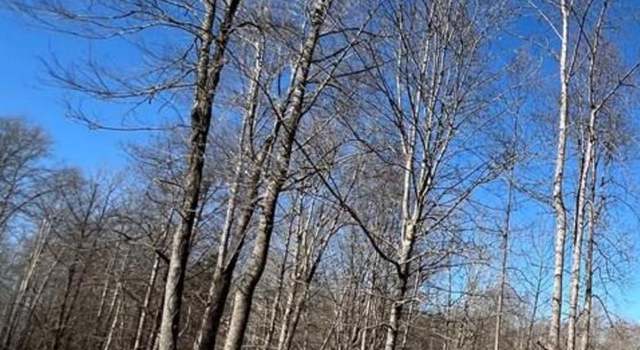 Photo of 1050 Fiddler's Green Rd, Patrick Springs, VA 24133