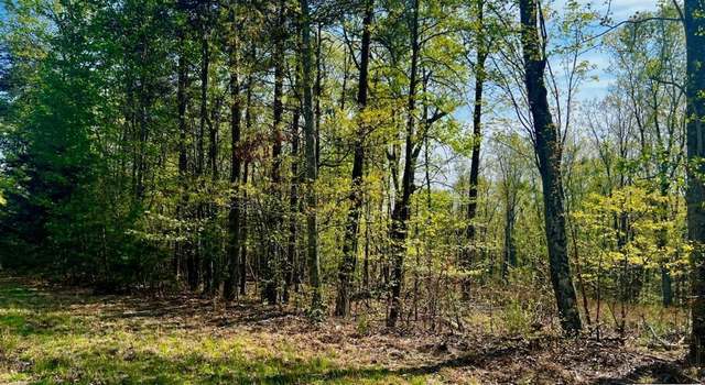 Photo of lot 34 Pine Knoll Farms Loop, Stuart, VA 24171