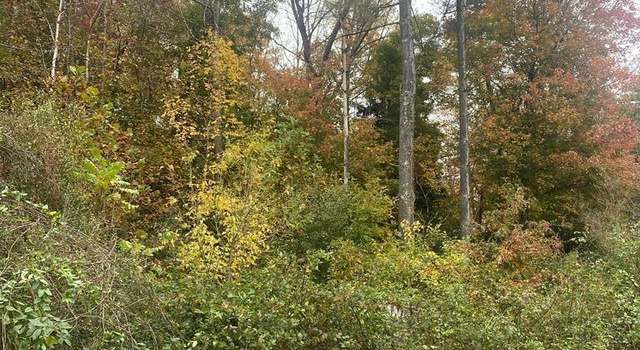 Photo of 0 Virginia Ave, Bassett, VA 24055