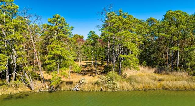 Photo of 0 Wolf Trap Ln, Onemo, VA 23130