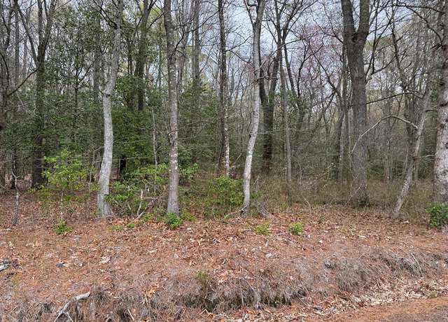 Property at Lot 34 Pitts Creek Rd #34, New Church, VA 23415