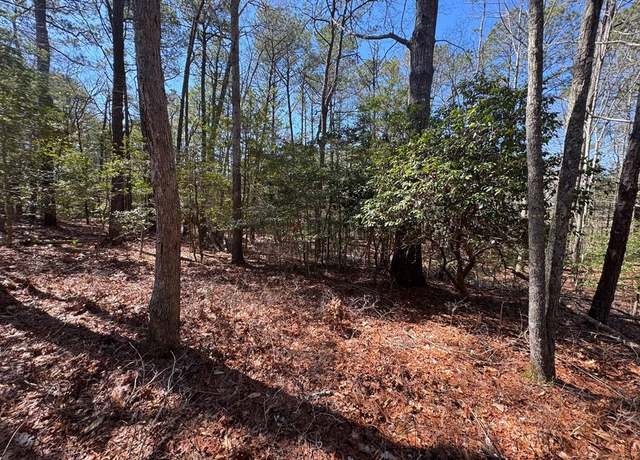 Property at Lot 1897 Buccaneer Blvd #1897, Greenbackville, VA 23356