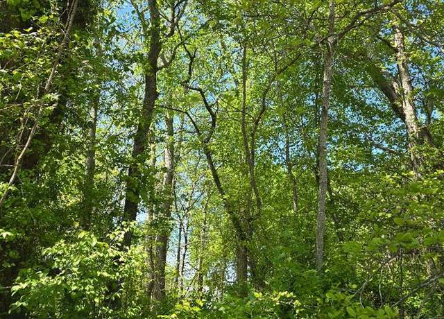 Property at 0 Winterville Rd #0, Bloxom, VA 23308