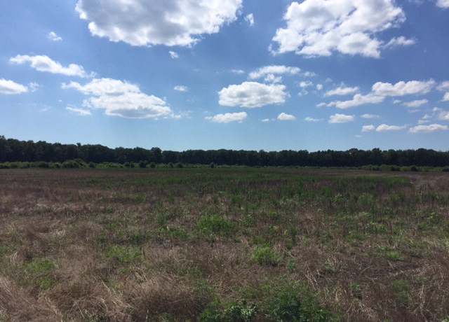 Property at Lot 51 Lankford Hwy #51, New Church, VA 23415