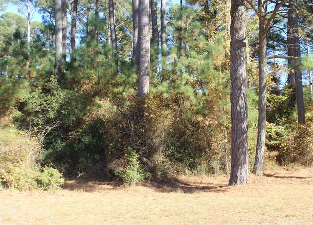 Property at 1140 Scimitar Way #1140, Greenbackville, VA 23356