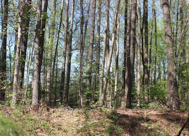 Property at 2086 Cutlass #2086, Greenbackville, VA 23356