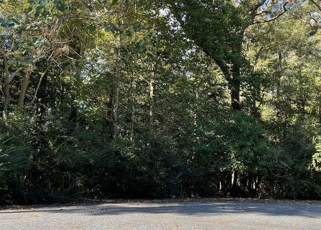 Property at Lot 22 Sandpiper Ln #22, Atlantic, VA 23303