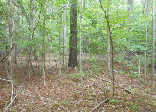 Property at Lot 21 Yeo Neck Run #21, Melfa, VA 23410
