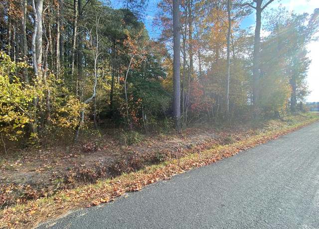 Property at Lot 1 Bailey Rd #1, Greenbush, VA 23357