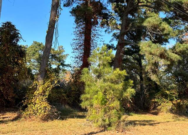 Property at 244A3 Ridge Rd Unit 244A3, Chincoteague, VA 23336