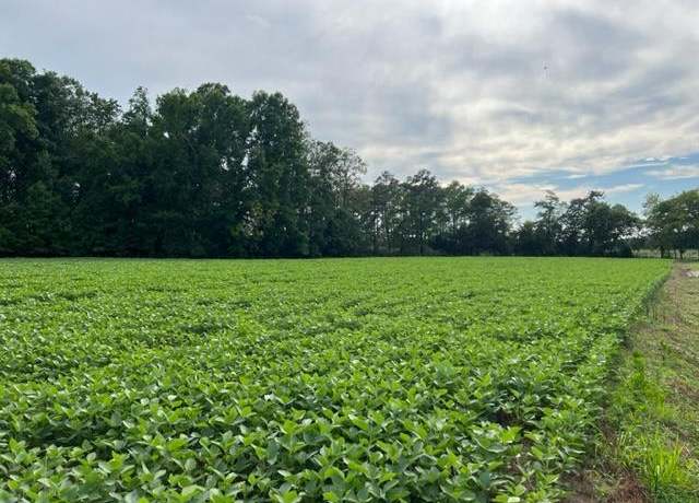 Property at LOT 22C Bullbeggar Rd #22, Withams, VA 23488