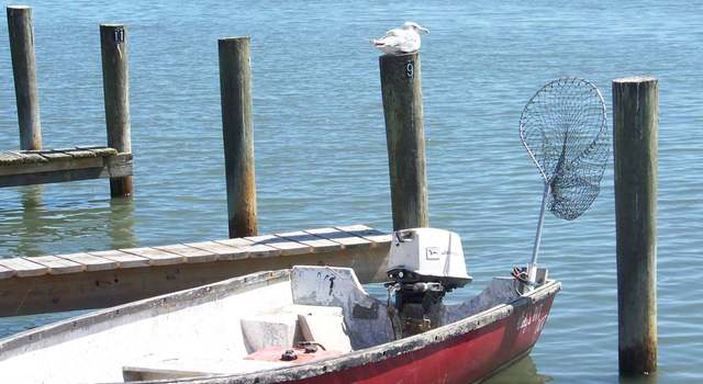 Photo of Lot 192 Sailfin Dr #192, Horntown, VA 23395