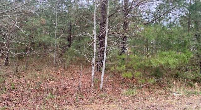 Photo of Lot 6 Hall Rd #6, Greenbackville, VA 23356