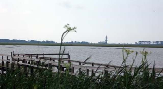 Photo of Lot 16 Oyster Cove Ln #16, Atlantic, VA 23303