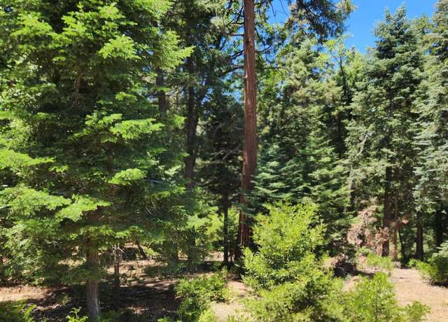 Property at Conifer Ln Unit N/A, Palomar Mountain, CA 92060