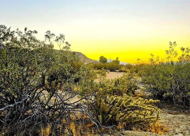 Property at Last Chance Trl #289, Julian, CA 92036