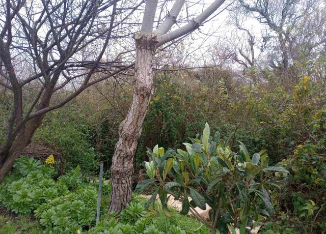 Property at Chesterfield, Half Moon Bay, CA 94019