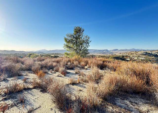 Property at Forrest Gate Rd, Campo, CA 91906