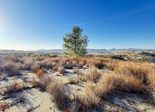 Property at 0 Forrest Gate Rd #0, Campo, CA 91906