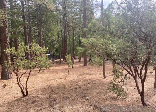 Property at BIG Pne, Idyllwild, CA 92549
