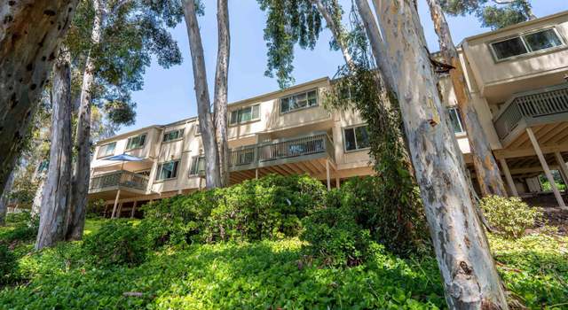 Photo of 10223 Caminito Pitaya, San Diego, CA 92131