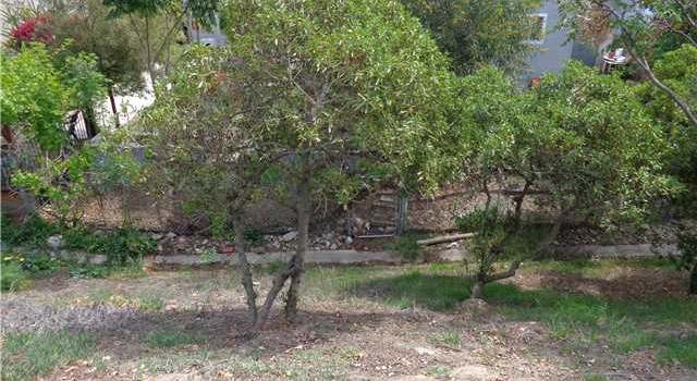 Photo of 5965 Samuel St, La Mesa, CA 91942