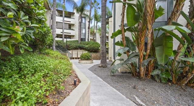 Photo of 5885 El Cajon Blvd #202, San Diego, CA 92115