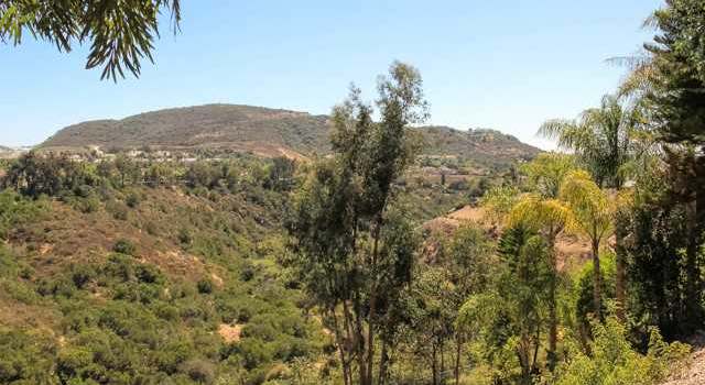 Photo of 9725 Paseo Montril, San Diego, CA 92129