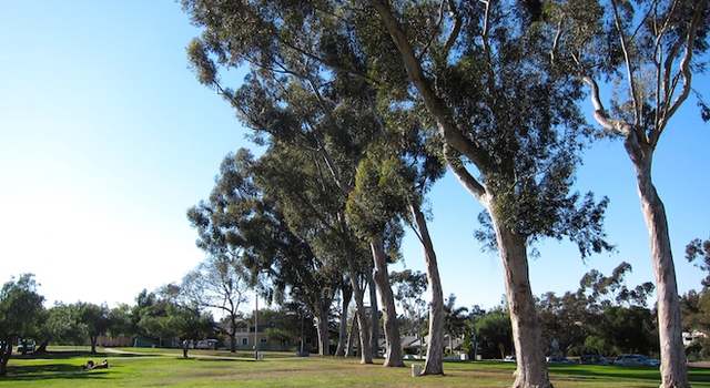 Photo of 3914 Falcon, San Diego, CA 92103