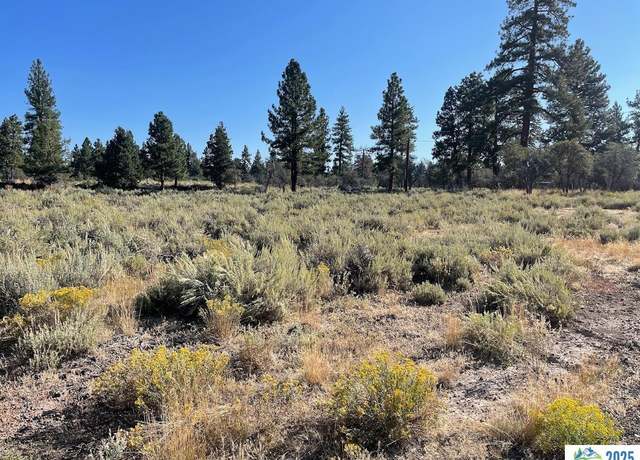 Property at 687-305 Juniper Way, Susanville, CA 96130