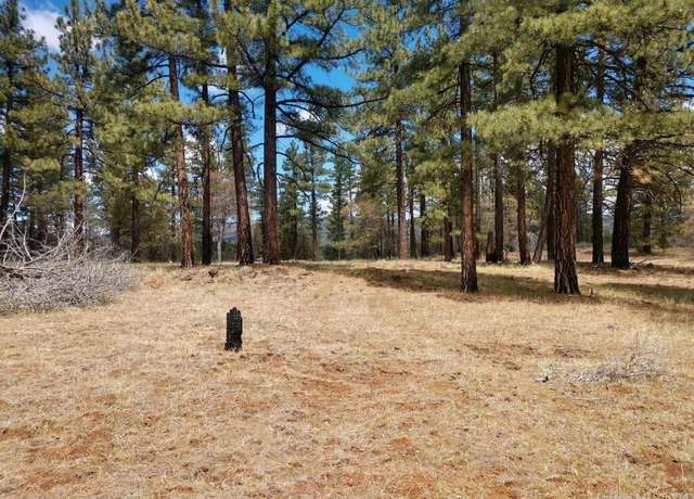Property at * Cheney Creek Rd, Susanville, CA 96130