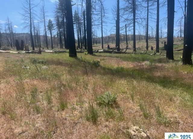 Property at 550-500 Butte Creek Rd, Adin, CA 96006