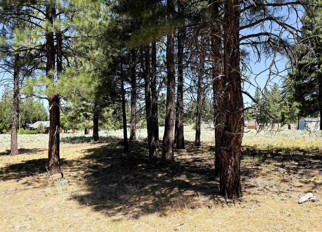 Property at 0 Maple Way, Susanville, CA 96130