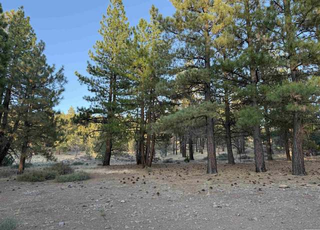 Property at 026 Cheney Crk, Susanville, CA 96130